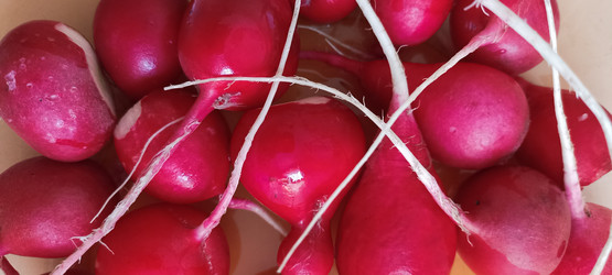 Similar image 21518432