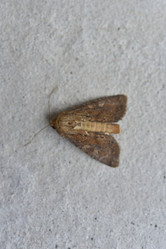 Similar image 21518443