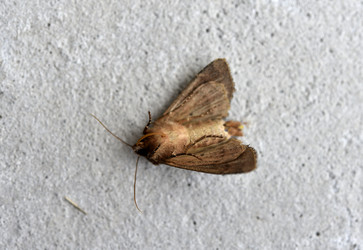 Similar image 21518444