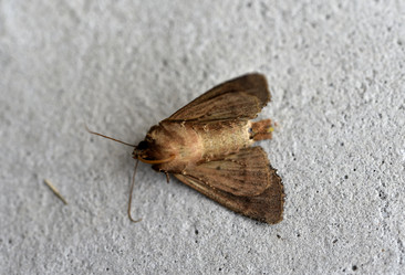 Similar image 21518445