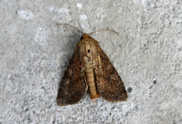 Similar image 21518446