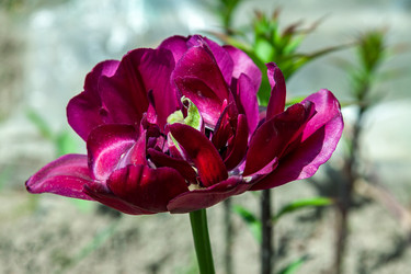 Similar image 21520964