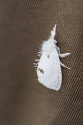 Similar image 21518680