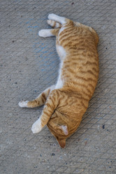 Similar image 21518681