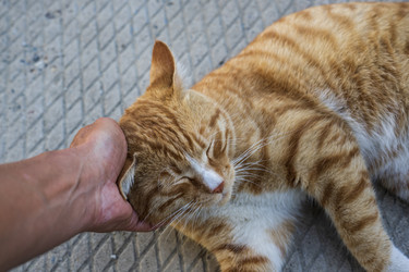 Similar image 21518682