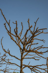 Similar image 21518685