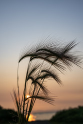 Similar image 21518686