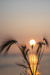 Similar image 21518687