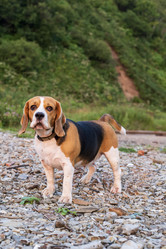 Similar image 21518688