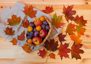 Similar image 21518765