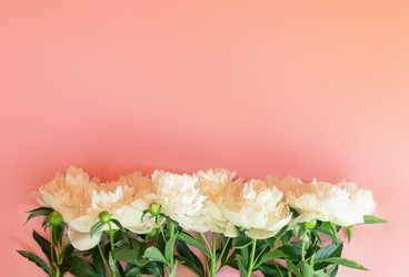 Similar image 21518777