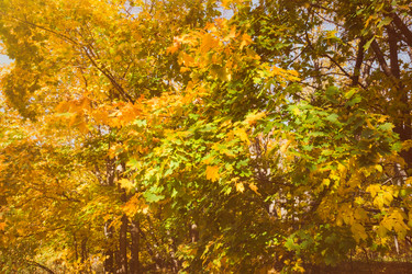 Similar image 21518788