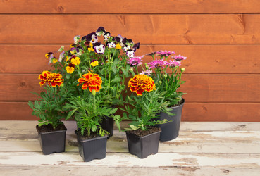 Similar image 21518810