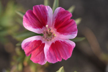 Similar image 21518450