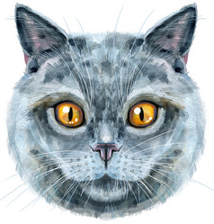 Similar image 21518408