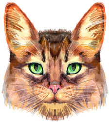 Similar image 21518453