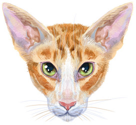 Similar image 21519370