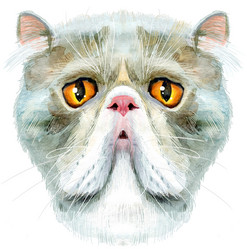 Similar image 21519378