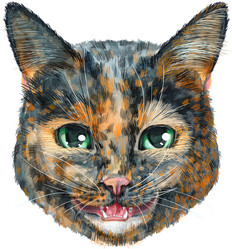 Similar image 21519383