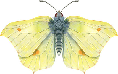 Similar image 21519386