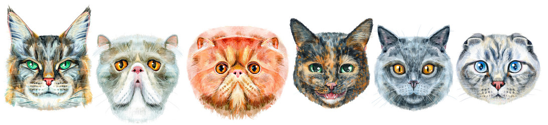 Similar image 21519402