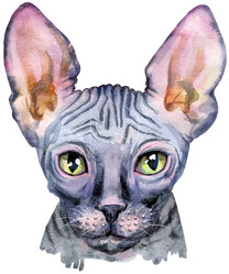 Similar image 21519404