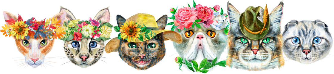 Similar image 21519421