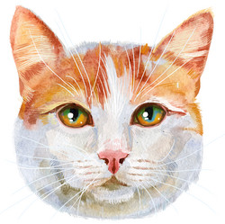 Similar image 21519424