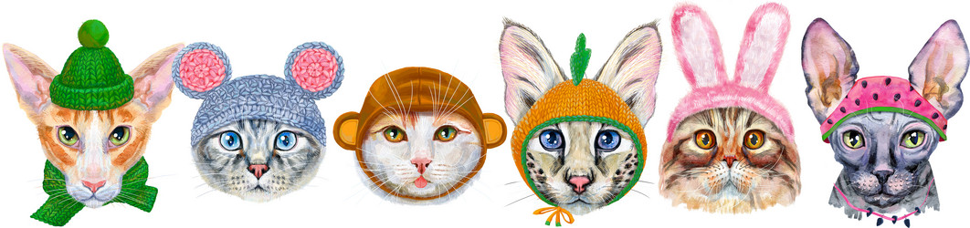 Similar image 21519425