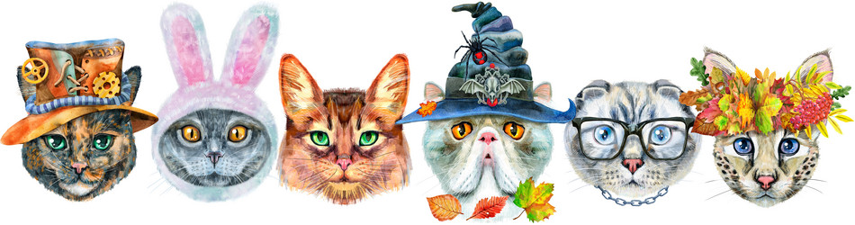 Similar image 21519429