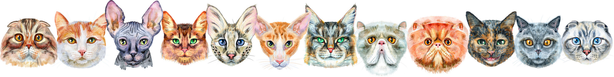 Similar image 21519434