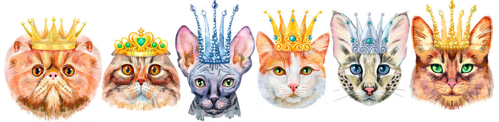 Similar image 21519436