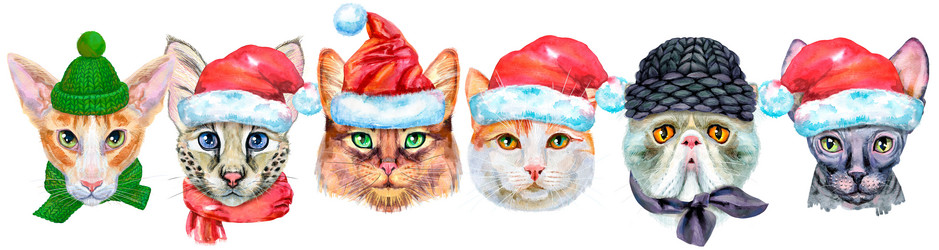 Similar image 21518464