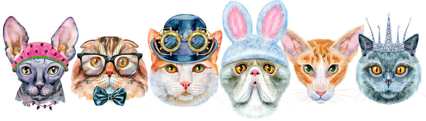 Similar image 21519443