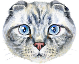 Similar image 21519457