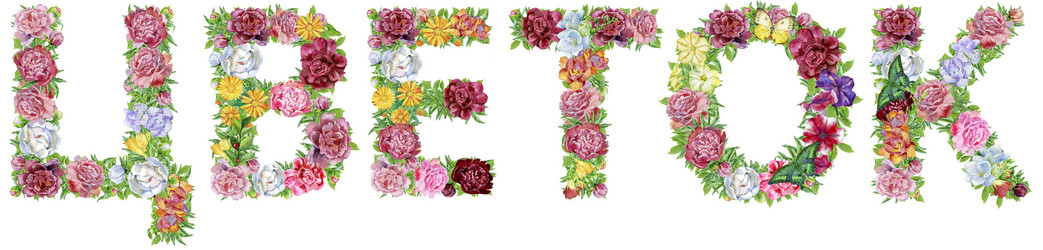 Similar image 21519466