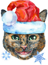 Similar image 21519471