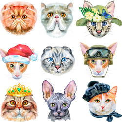 Similar image 21518473