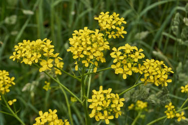 Similar image 21518509