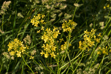 Similar image 21519722