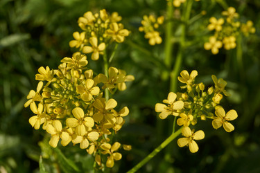 Similar image 21518511