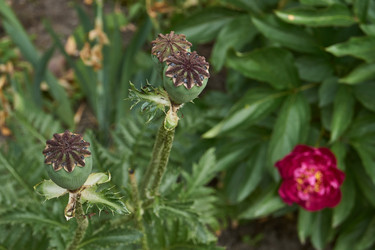 Similar image 21518512