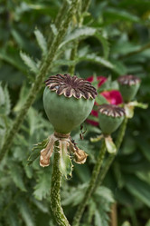 Similar image 21519908