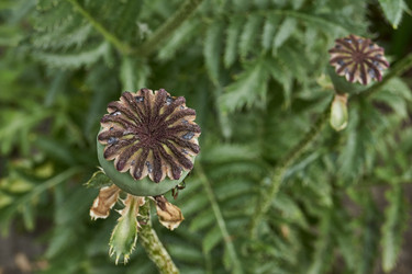 Similar image 21519909