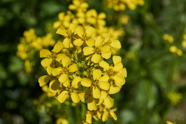 Similar image 21519723