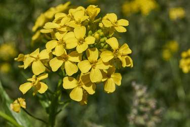 Similar image 21518513