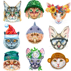 Similar image 21518542