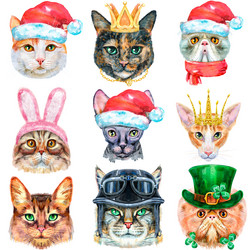 Similar image 21518549