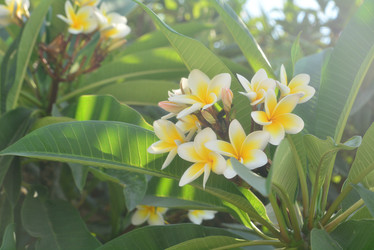 Similar image 21518698