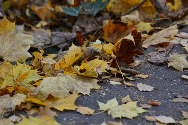 Similar image 21518704